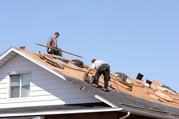 Best Gutter Installation and Repair  in Versailles, KY